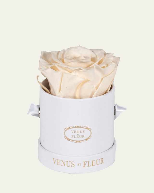 Classic Mini Round Rose Box